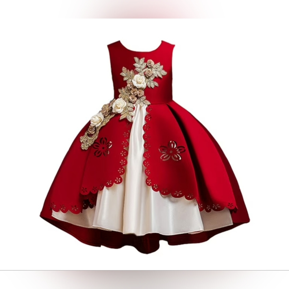 Girl's Princess Dress Puffy Sleeveless Embroideried Floral Cutout Hi Low 8-9 yrs